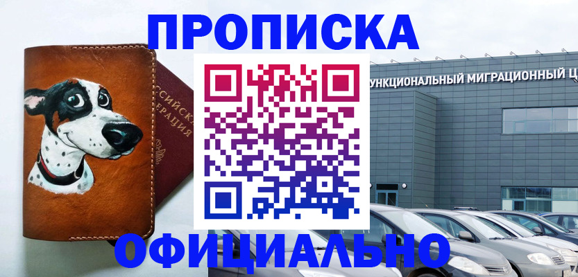 временная прописка в Оленегорске